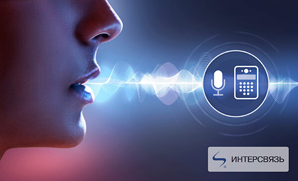 Челябинские разработчики создают голосовое управление для домофона